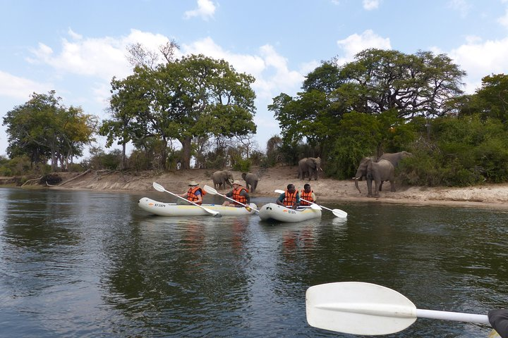 Upper Zambezi Canoeing  - Photo 1 of 25