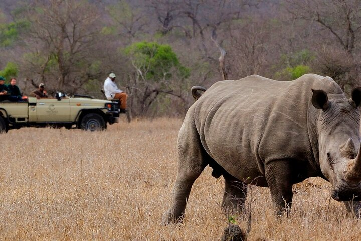 Victoria Falls Rhino Encounter Game Drive! - Photo 1 of 16