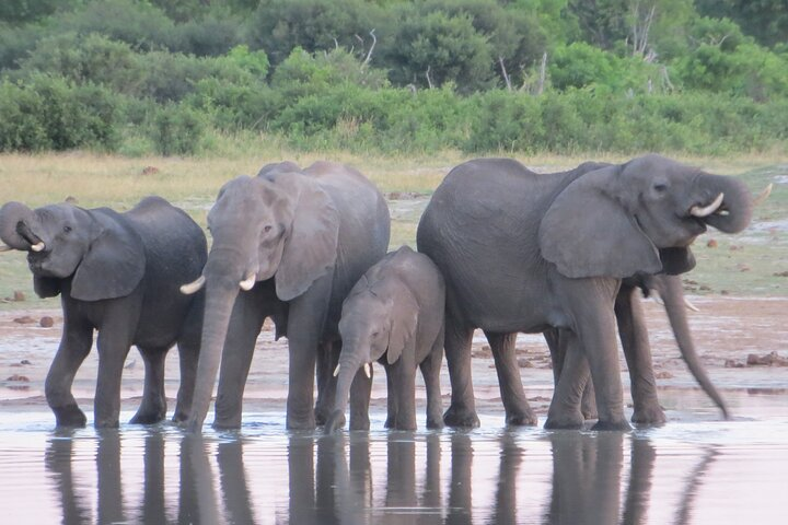 Things To Do In Victoria Falls Combo 5 - Photo 1 of 19