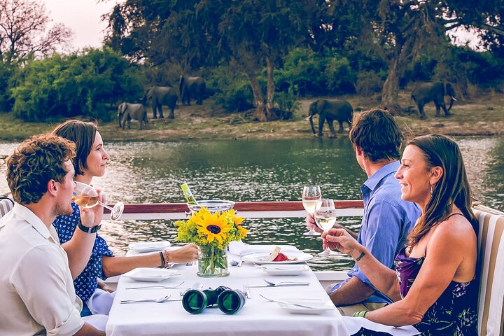 Amaizing Lunch Cruise Watching Wildlife